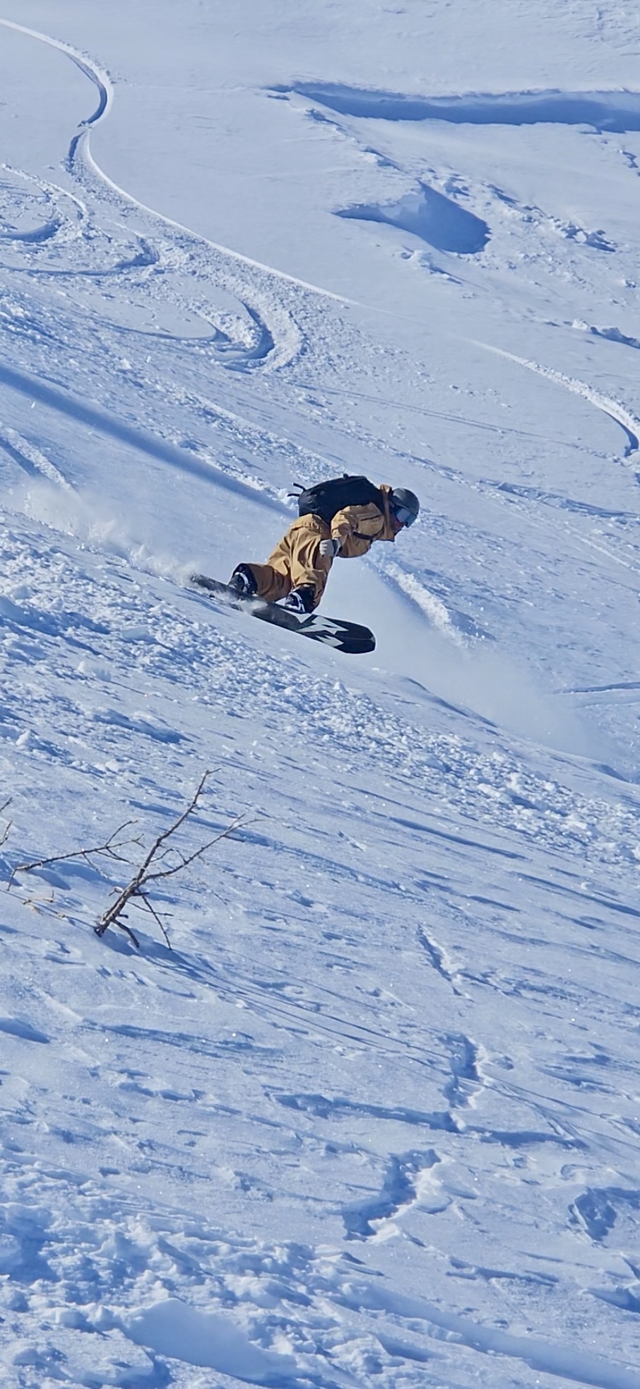 Frontside turn in fresh snow on a splitboard